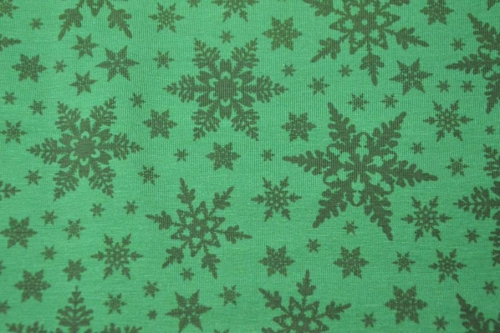 Jersey | Jesse Schneesterne | grün